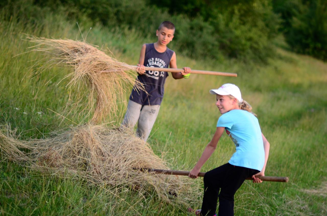 מלון Ecopark אלנה מראה חיצוני תמונה