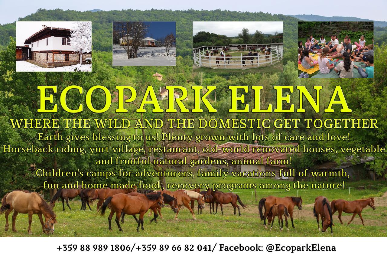 מלון Ecopark אלנה מראה חיצוני תמונה