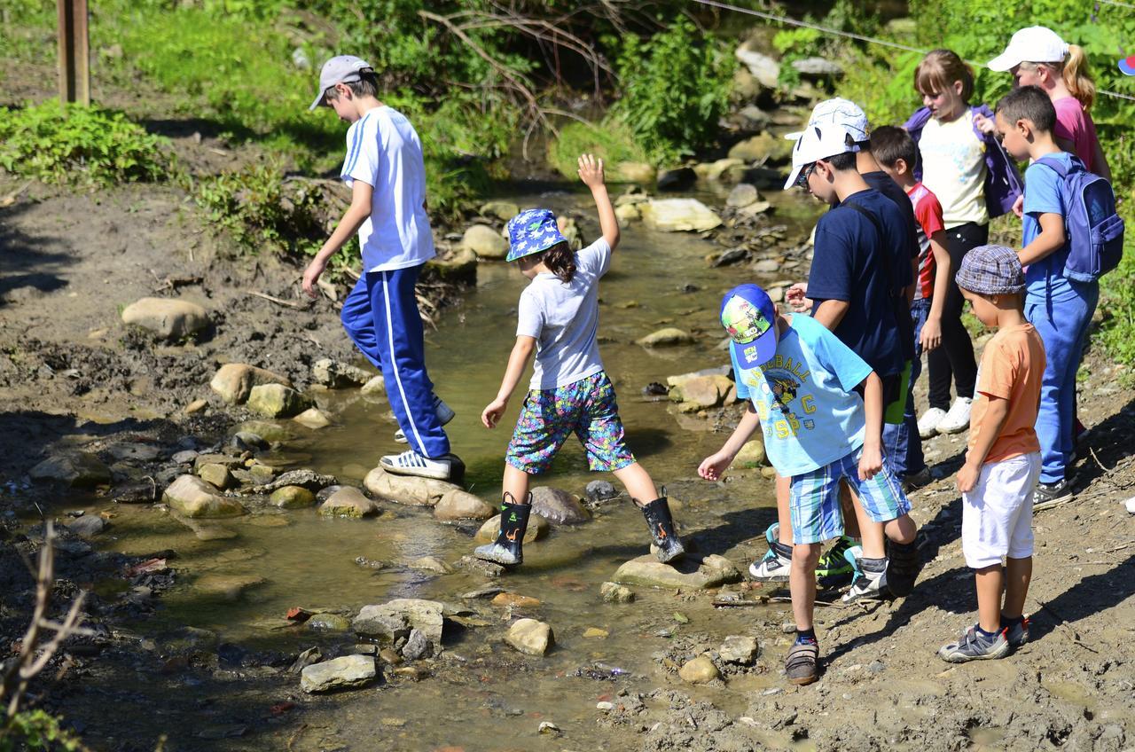 מלון Ecopark אלנה מראה חיצוני תמונה