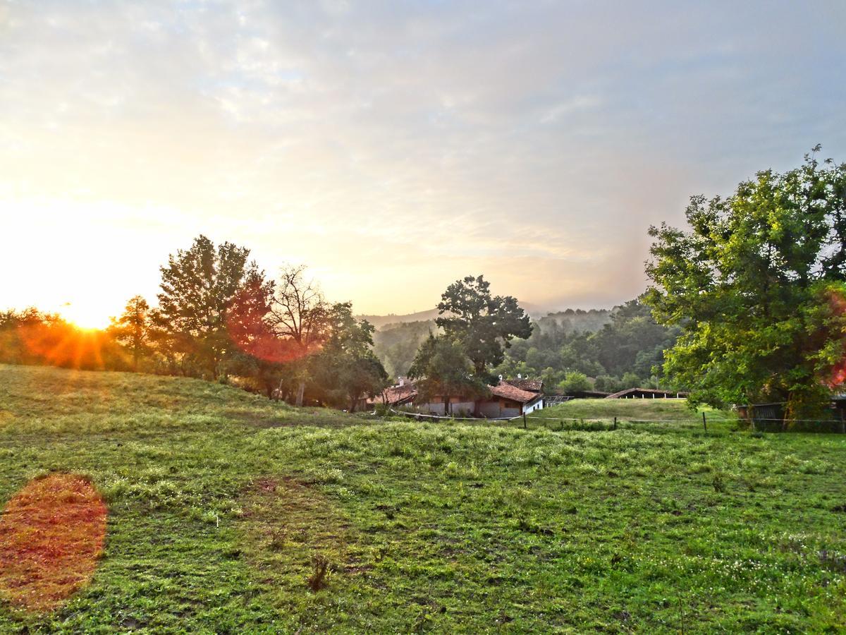 מלון Ecopark אלנה מראה חיצוני תמונה