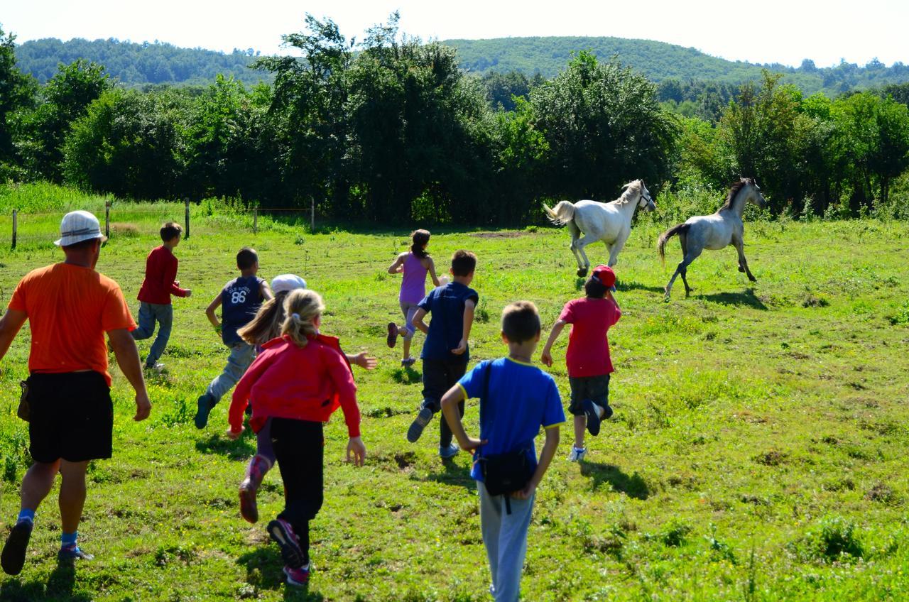 מלון Ecopark אלנה מראה חיצוני תמונה