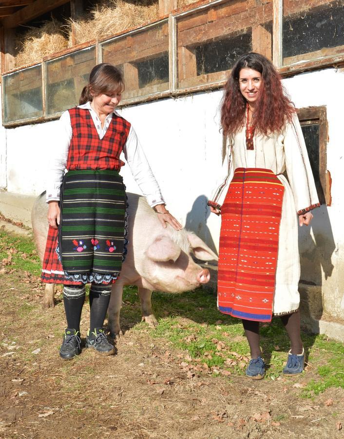 מלון Ecopark אלנה מראה חיצוני תמונה